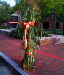 Corn Stalk Decorations